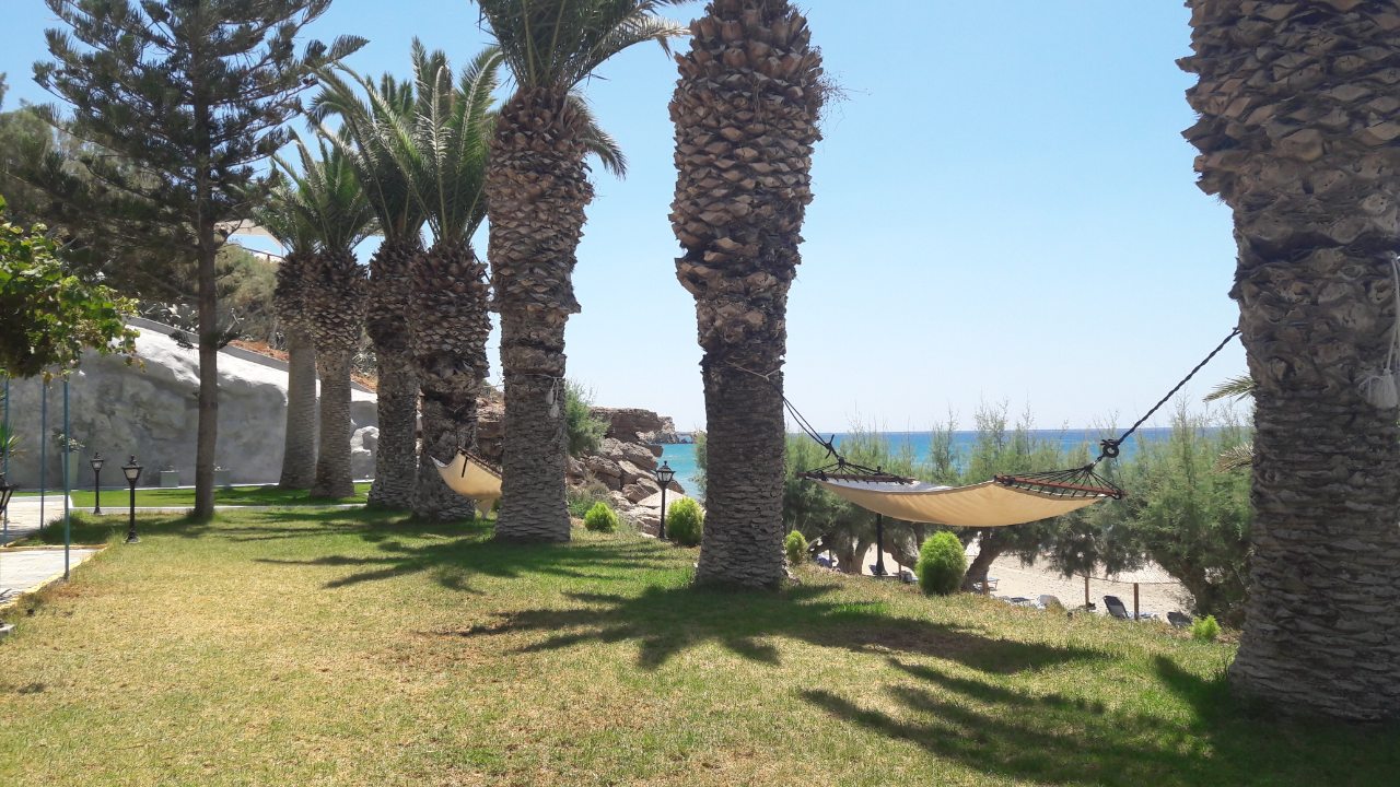 The terrace